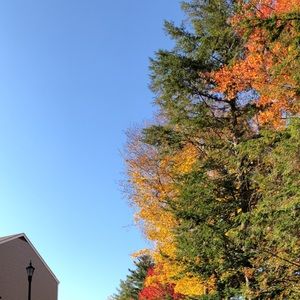 Meet your Posher, Etienne